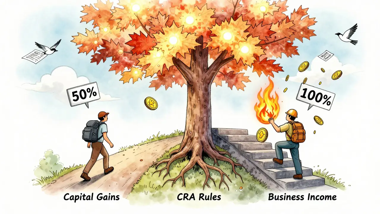 Two paths diverge under a maple tree: one for capital gains (50% tax) and one for business income (100% tax).